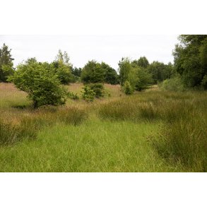 Christian d. III's Kanal lb 5,4 km fra Nrreen i Fladbro og til Randers