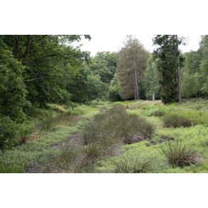 Christian d. III's Kanal lb 5,4 km fra Nrreen i Fladbro og til Randers