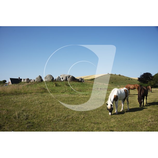 Posk�r Stenhus p� Mols