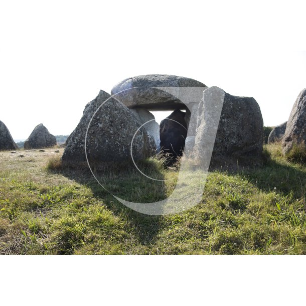 Posk�r Stenhus p� Mold