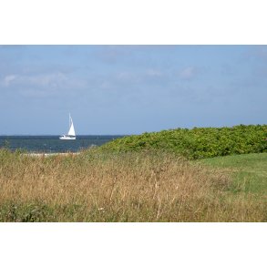 Lystbd p Limfjorden ved Lgstr