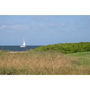 Lystb�d p� Limfjorden ved L�gst�r