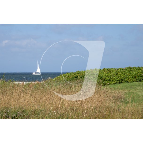 Lystbd p Limfjorden ved Lgstr