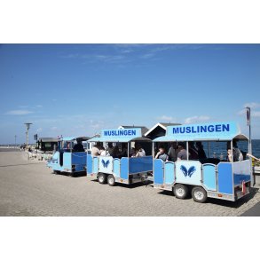 Havnetoget Muslingen p� L�gst�r havn