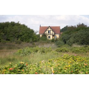 Hus med udsigt til havnen p� Liv�