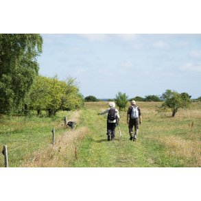 Den gule vandrerute p� Liv�