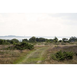 Den gule vandrerute g�r igennem heden p� Liv�