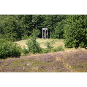 Udsigts t�rn ved den gule vandrerute p� Liv�