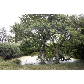 Lille s� ved vandreruten p� Liv�