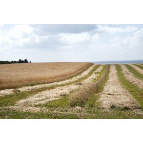 Landbrug p� Liv�