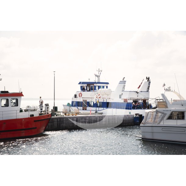 Havnen p Liv