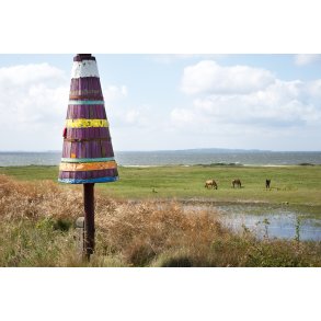 Heste ved Limfjorden t�t p� R�nbjerg, med Liv� i baggrunden