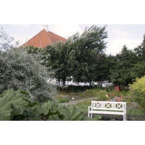 Krydderurtehave med l�geurter ved Vitsk�l kloster