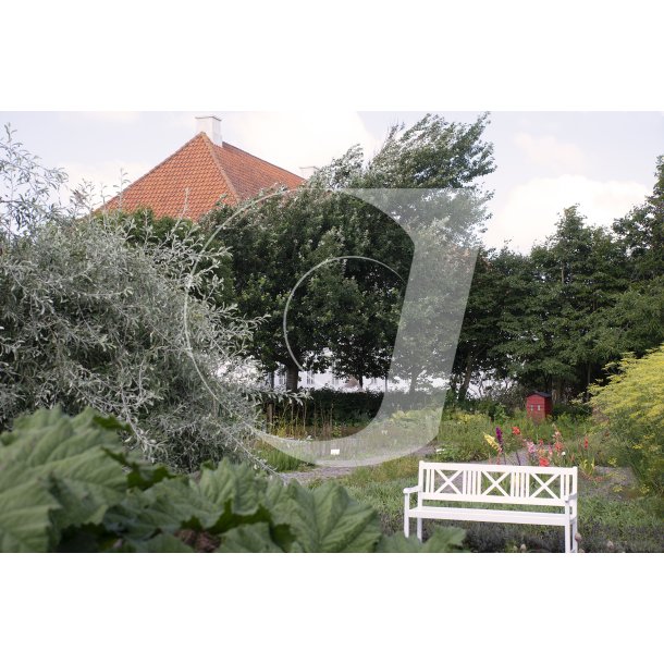 Krydderurtehave med lgeurter ved Vitskl kloster