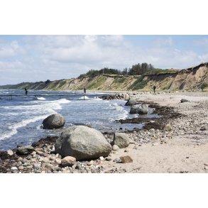 Erteb�lle strand ved Limfjorden