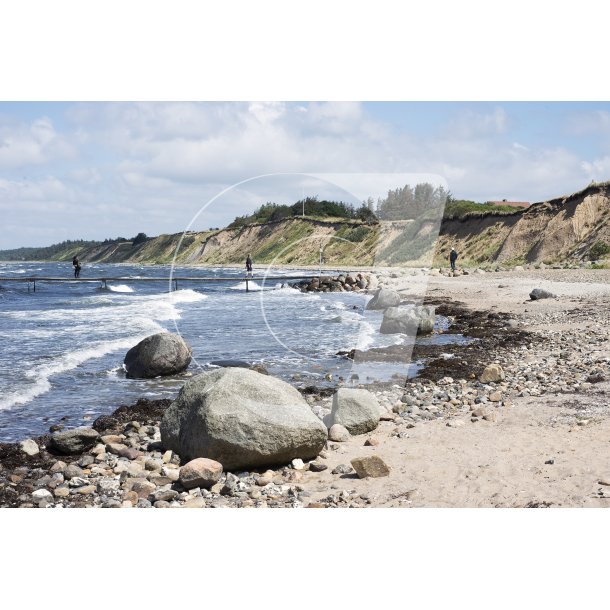 Erteblle strand ved Limfjorden