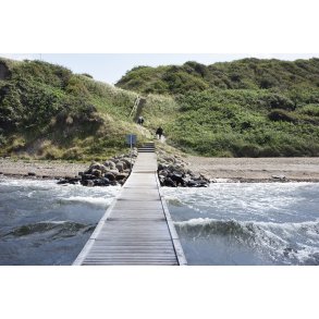 Erteb�lle strand ved Limfjorden