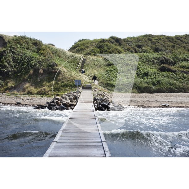 Erteblle strand ved Limfjorden