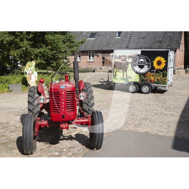 Buch 302 traktor p grdspladsen hos "Dalsgrd i Langballe"