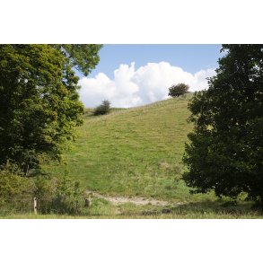 Bakkerne omkring Langballe ved Giber �, syd for Aarhus