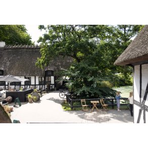 Sommerdag p� Skovm�llen ved Moesgaard