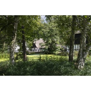 Sommerdag p� Skovm�llen ved Moesgaard