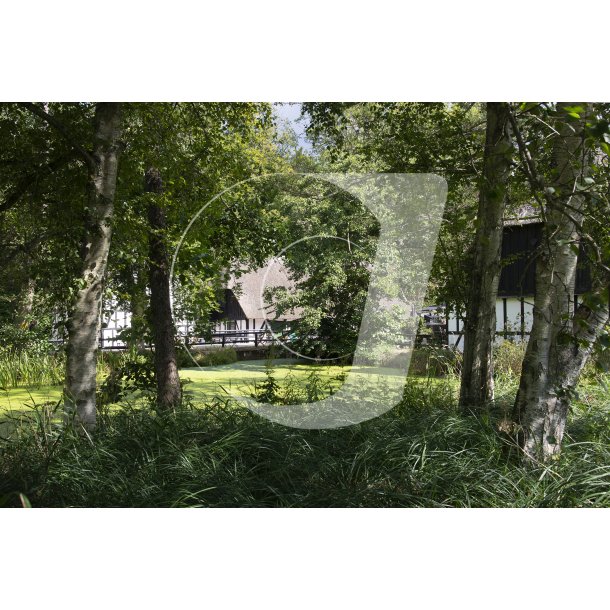 Sommerdag p Skovmllen ved Moesgaard