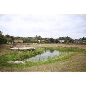 Regnvandsbassinet ved klyngehuset i Albk