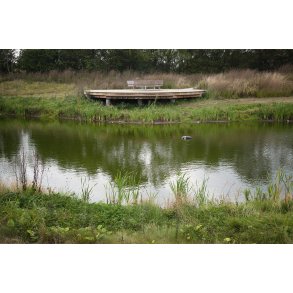 Regnvandsbassinet ved klyngehuset i Albk