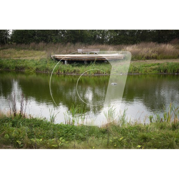 Regnvandsbassinet ved klyngehuset i Albk