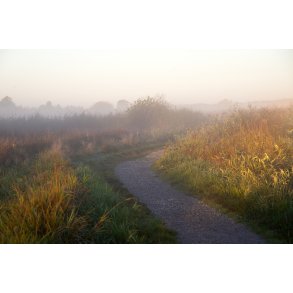 Efterrsmorgen i Vorup Enge ved Gudenen i Randers