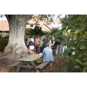 Fllesskab og bleskiver i haven ved farvergrden i Ebeltoft