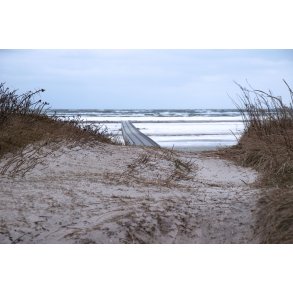 Vinter ved stranden i �ster Hurup