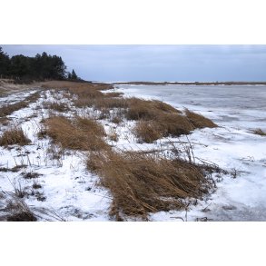 Is og sne ved stranden i �ster Hurup