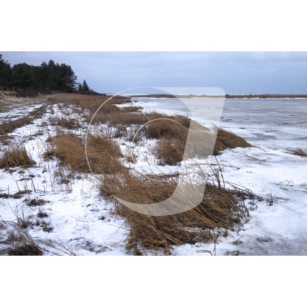 Is og sne ved stranden i �ster Hurup