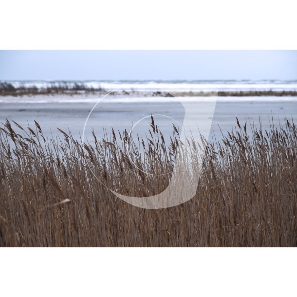 Stranden ved �ster Hurup p� en vinterdag