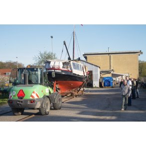 Lillebj�rn er p� vej i vandet i Randers havn