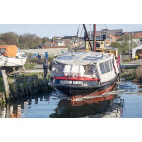 Lillebj�rn bliver s�sat i Randers havn