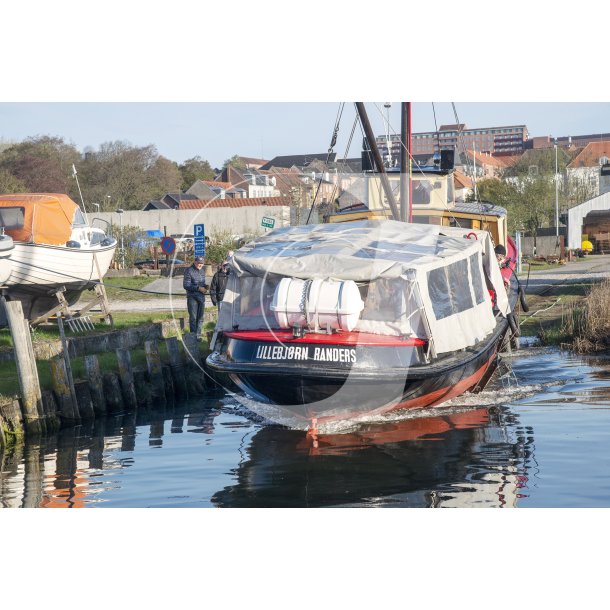 Lillebj�rn bliver s�sat i Randers havn