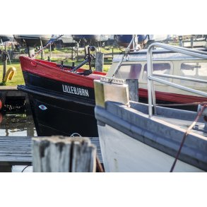 Lillebj�rn i Randers havn