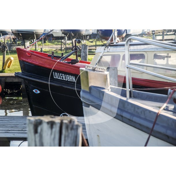 Lillebj�rn i Randers havn