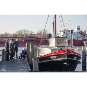 Lillebj�rn i Randers havn