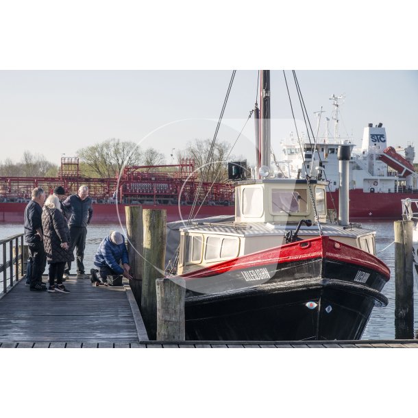 Lillebj�rn i Randers havn