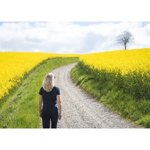Vejen til Isg�rd