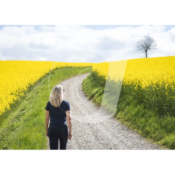Vejen til Isg�rd