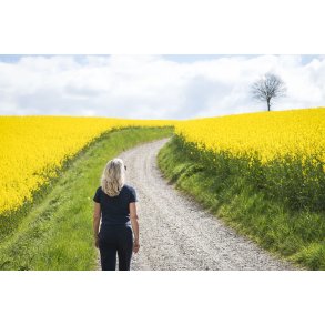 Vejen mos Isg�rd