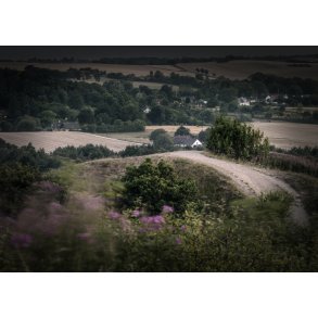 Sensommer aften p� Treh�je i Mols Bjerge