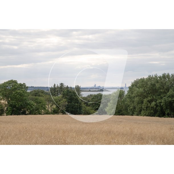 Udsigt fra Rols� gl. kirkeg�rd ved Vrinners p� Mols mod Sk�dshoved og Aarhus