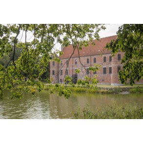 Natur ved Rosenholm