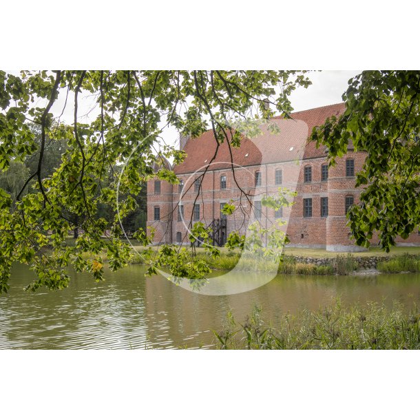 Natur ved Rosenholm